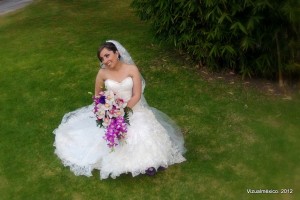 Vizualméxico | La última boda del 2012